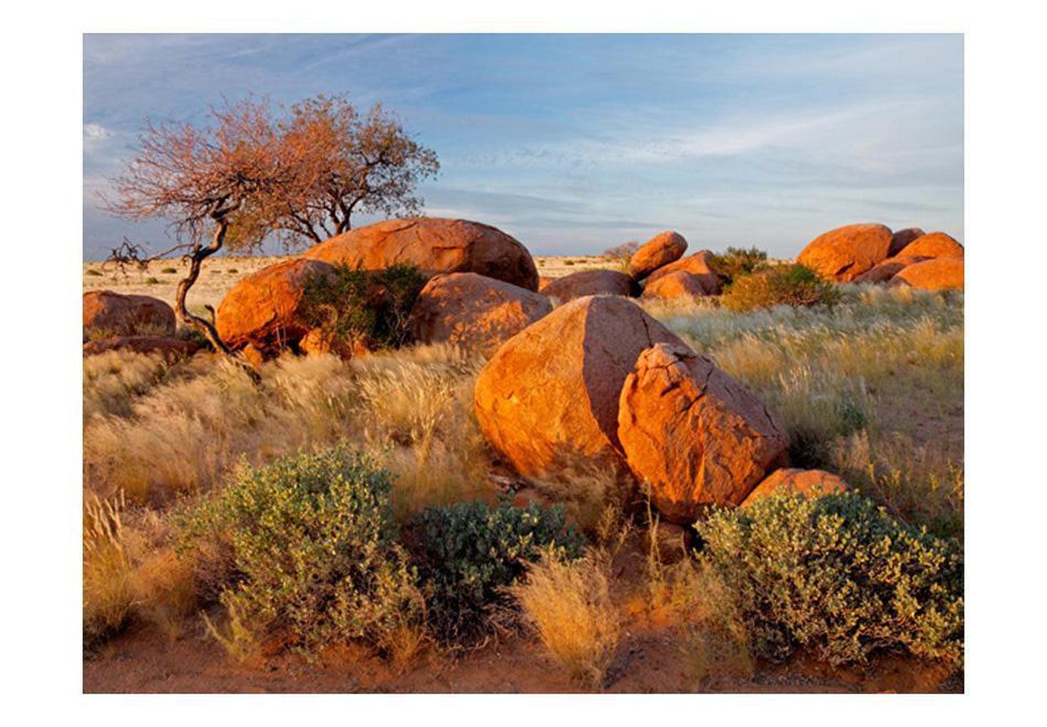 Landscape Wallpaper Wall Mural - African Landscape, Namibia