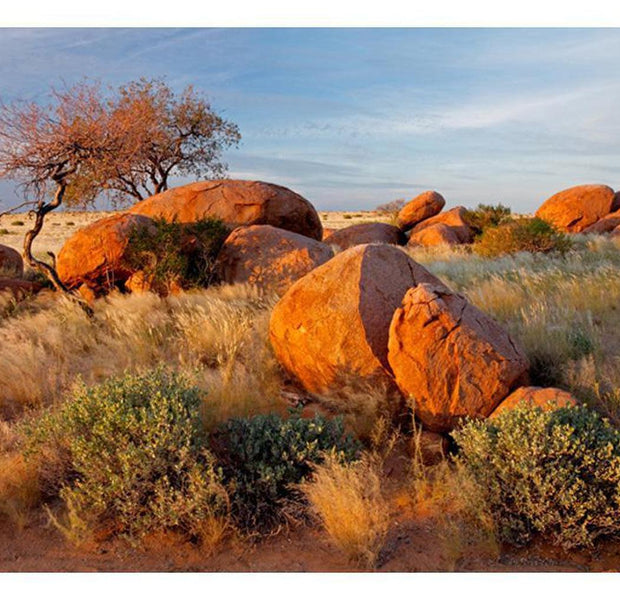 Landscape Wallpaper Wall Mural - African Landscape, Namibia