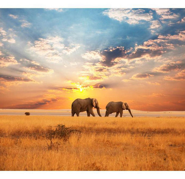 Landscape Wallpaper Wall Mural - African Savanna Elephants