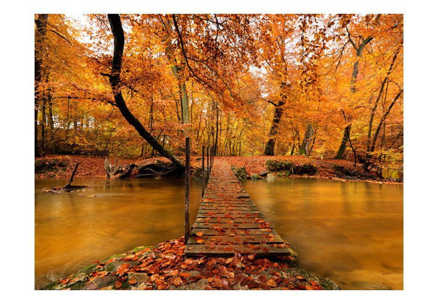 Landscape Wallpaper Wall Mural - Autumn Bridge