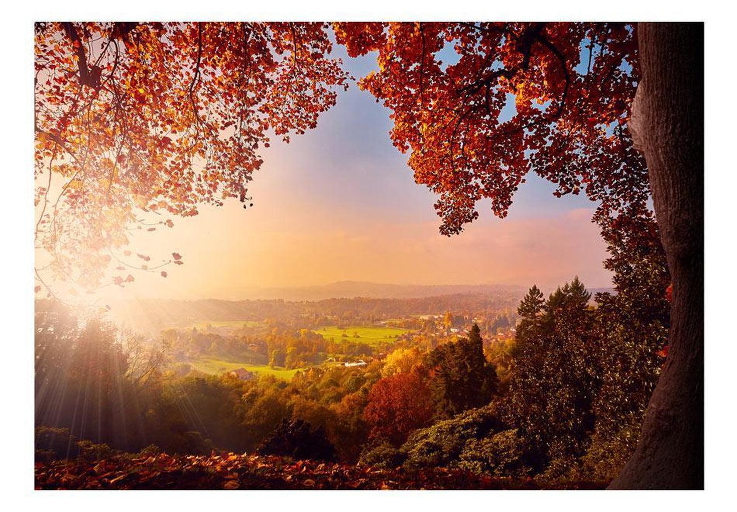 Landscape Wallpaper Wall Mural - Autumn Delight