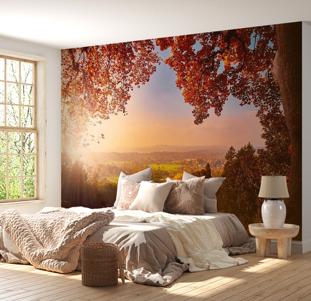 Landscape Wallpaper Wall Mural - Autumn Delight
