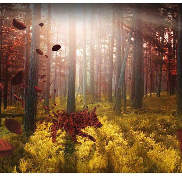 Landscape Wallpaper Wall Mural - Autumn Fantasy