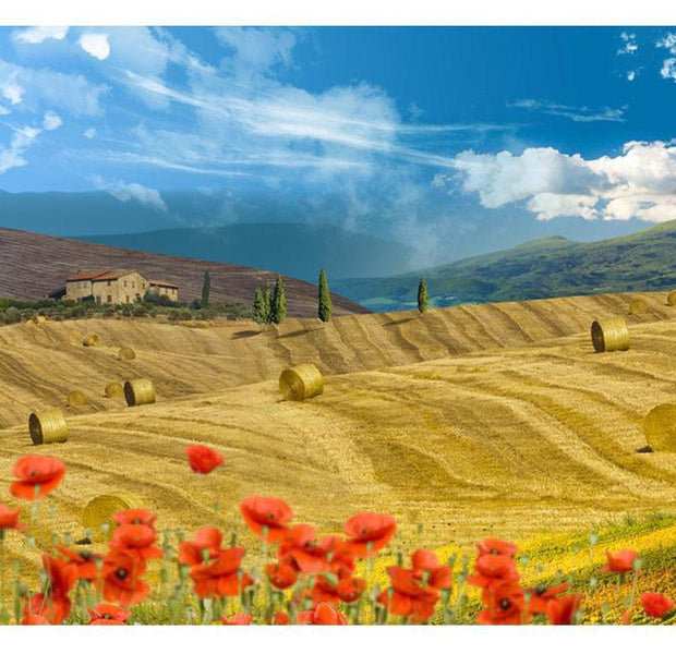 Landscape Wallpaper Wall Mural - Autumn Landscape