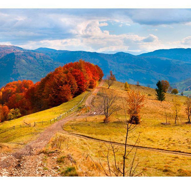 Landscape Wallpaper Wall Mural - Autumn Landscape In The Carpathian Mountains