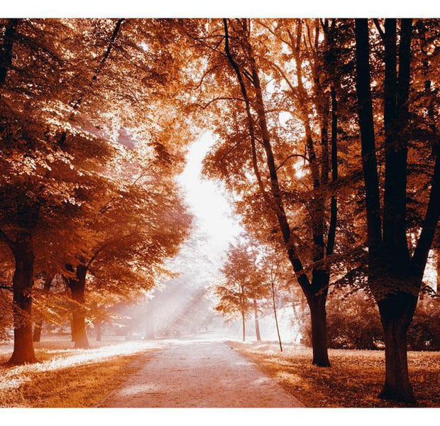 Landscape Wallpaper Wall Mural - Autumn Park