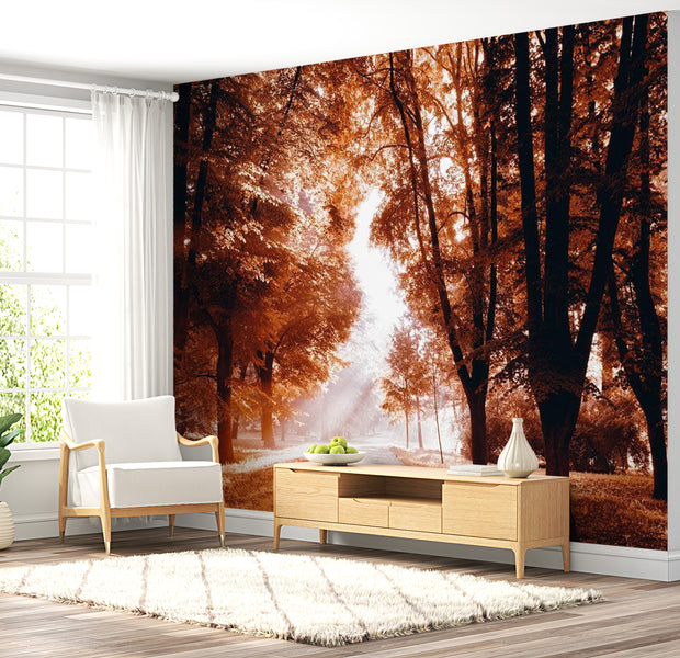 Landscape Wallpaper Wall Mural - Autumn Park