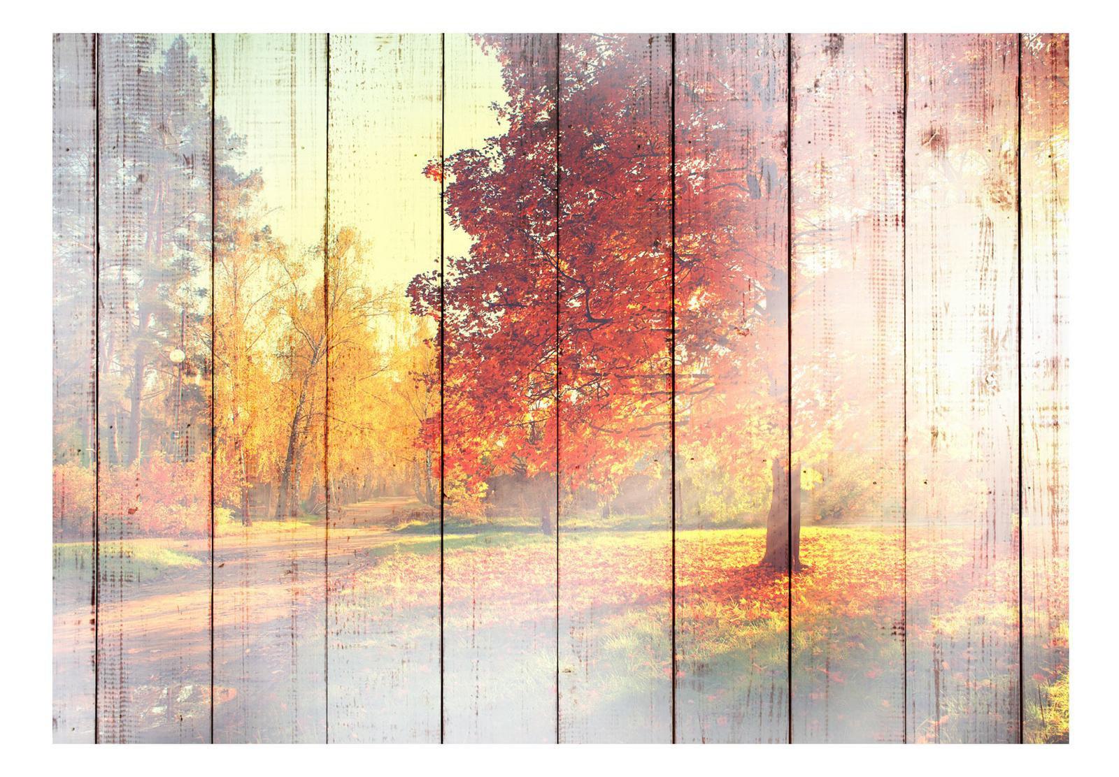 Landscape Wallpaper Wall Mural - Autumn Sun