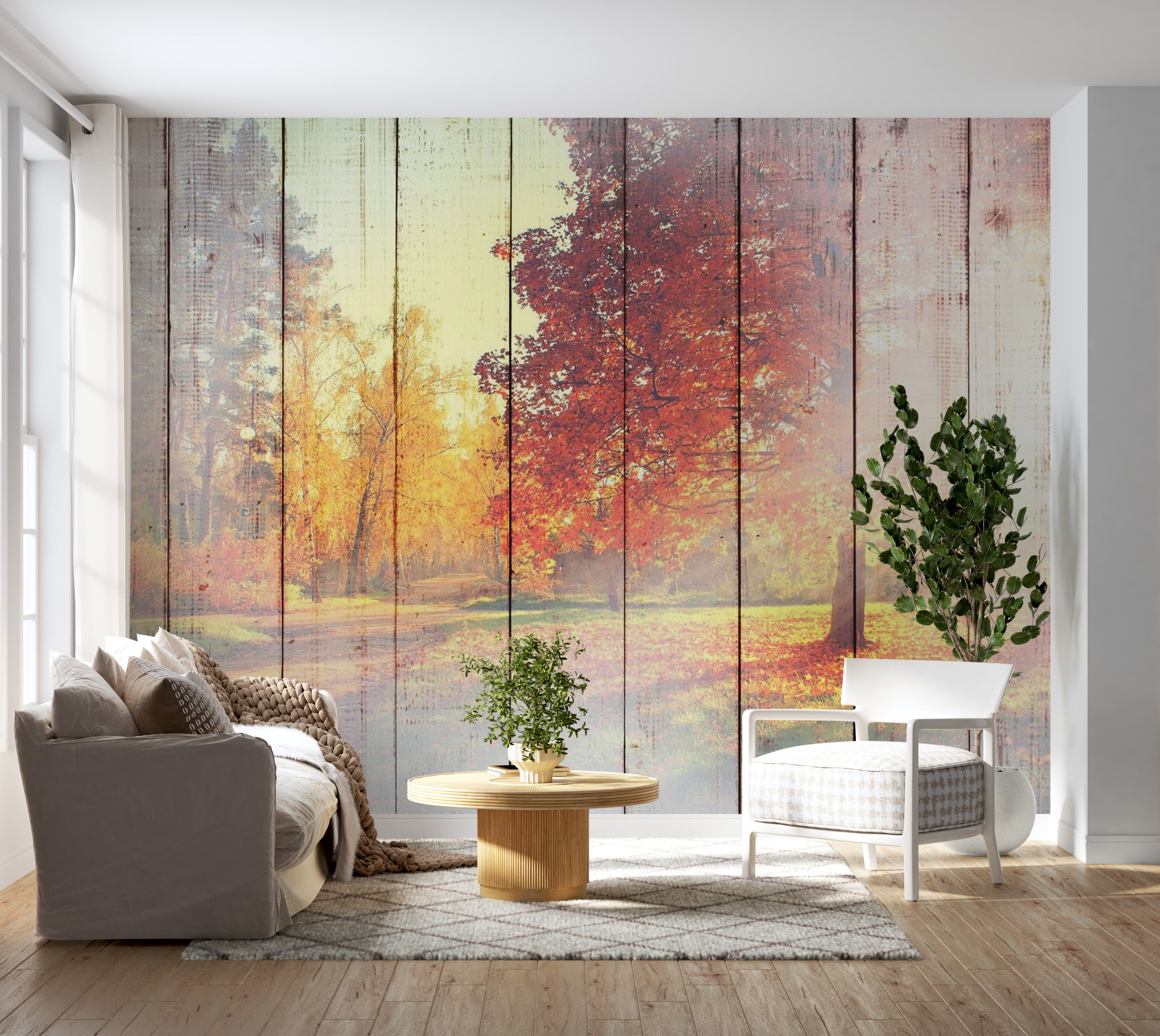 Landscape Wallpaper Wall Mural - Autumn Sun