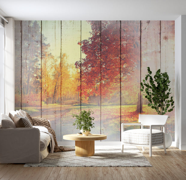 Landscape Wallpaper Wall Mural - Autumn Sun