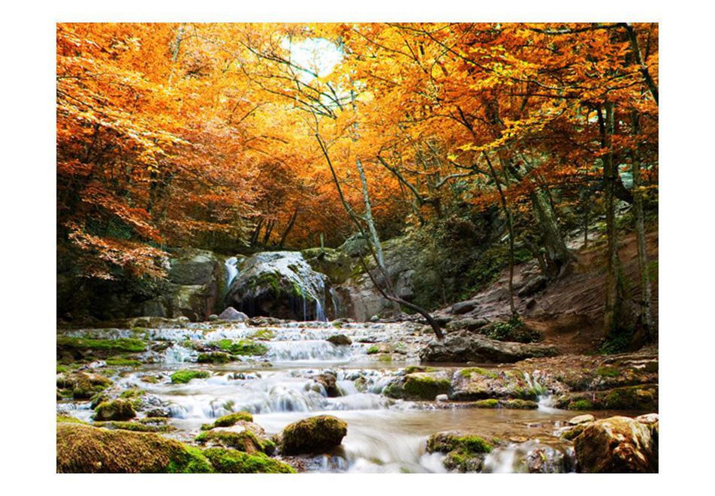 Landscape Wallpaper Wall Mural - Autumn - Waterfall