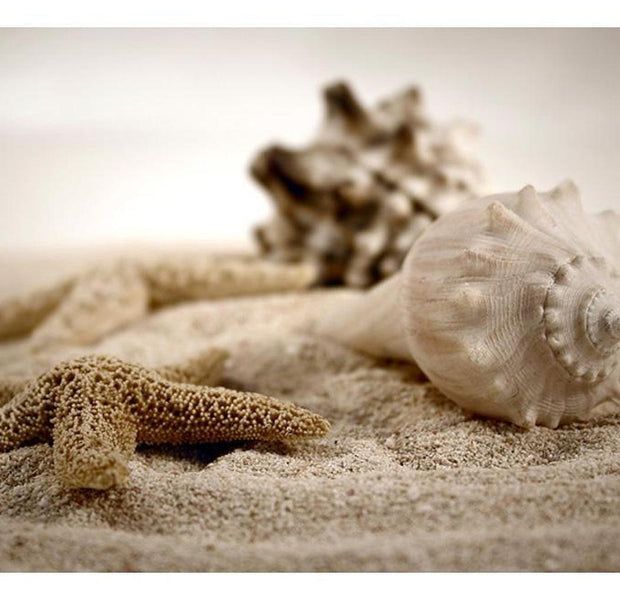 Landscape Wallpaper Wall Mural - Beach And Shell