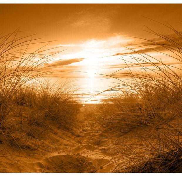 Landscape Wallpaper Wall Mural - Beach In Sepia