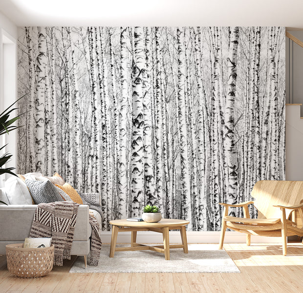 Landscape Wallpaper Wall Mural - Birch Forest