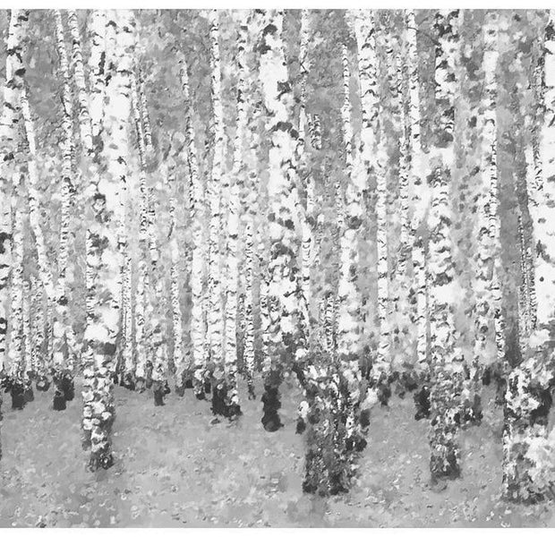 Landscape Wallpaper Wall Mural - Birch Seclusion