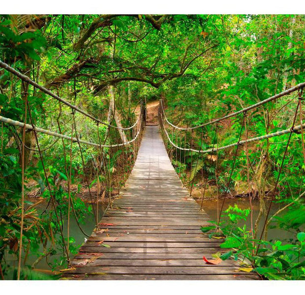 Landscape Wallpaper Wall Mural - Jungle Bridge