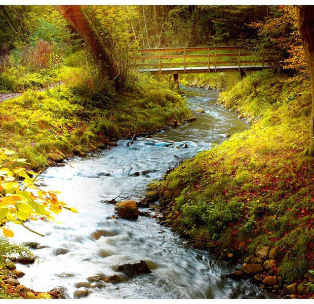 Landscape Wallpaper Wall Mural - Brook Sunrise