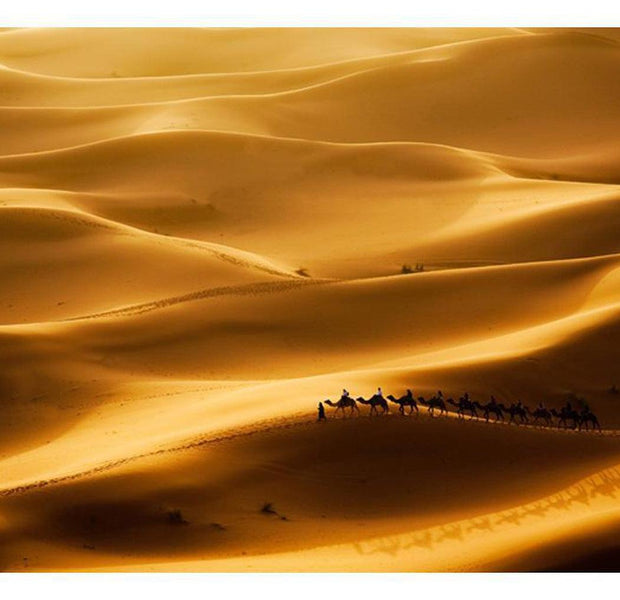 Landscape Wallpaper Wall Mural - Caravan Of Camels