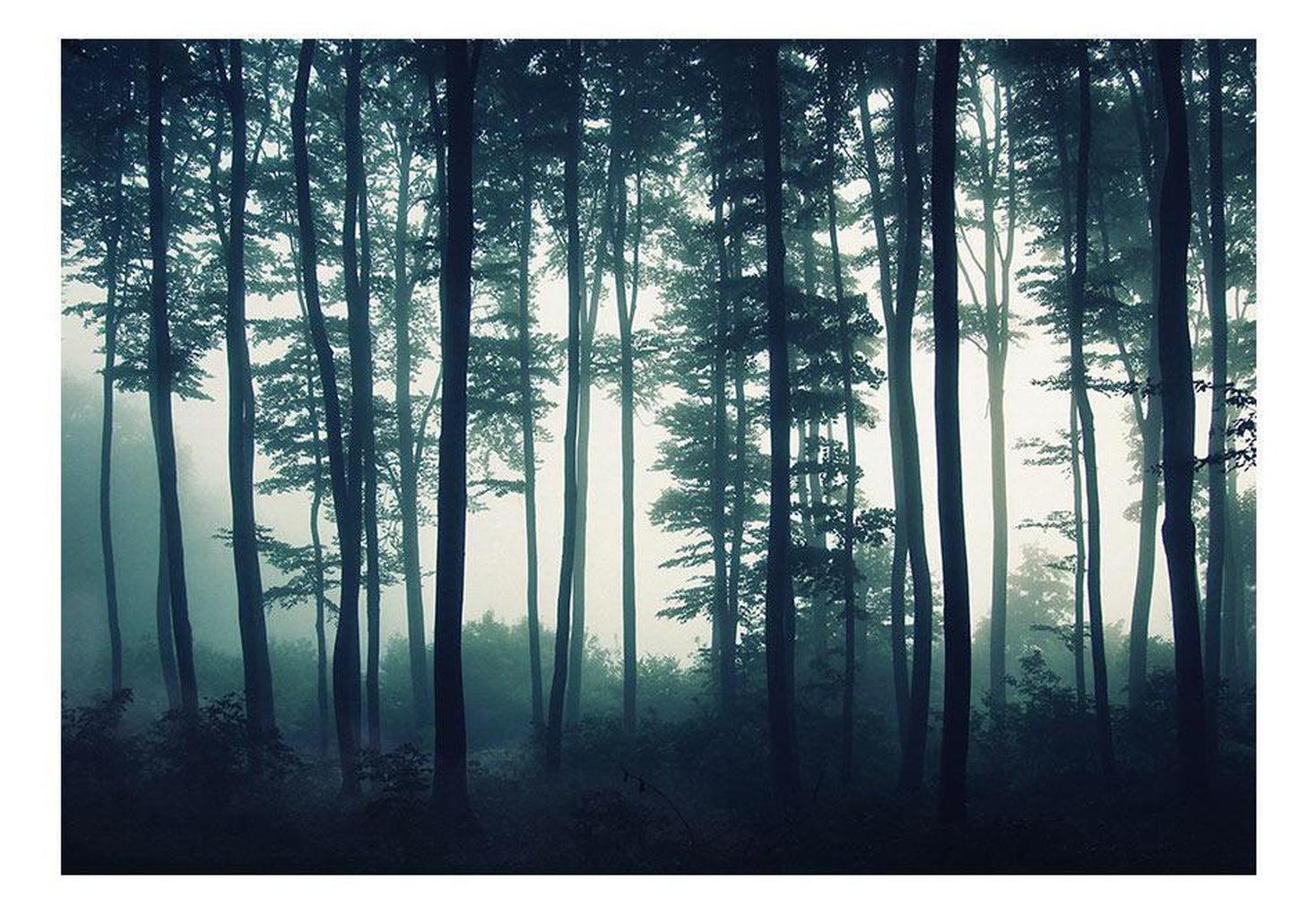 Landscape Wallpaper Wall Mural - Dark Forest