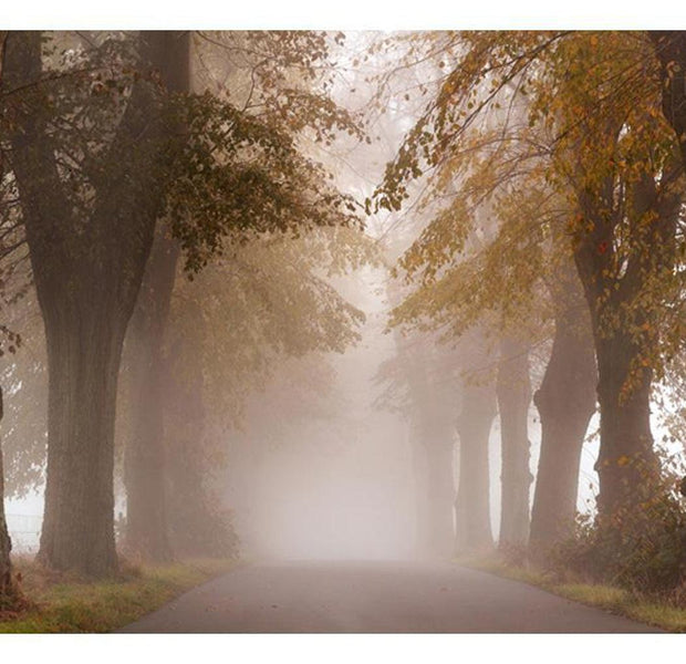 Landscape Wallpaper Wall Mural - Dead-End