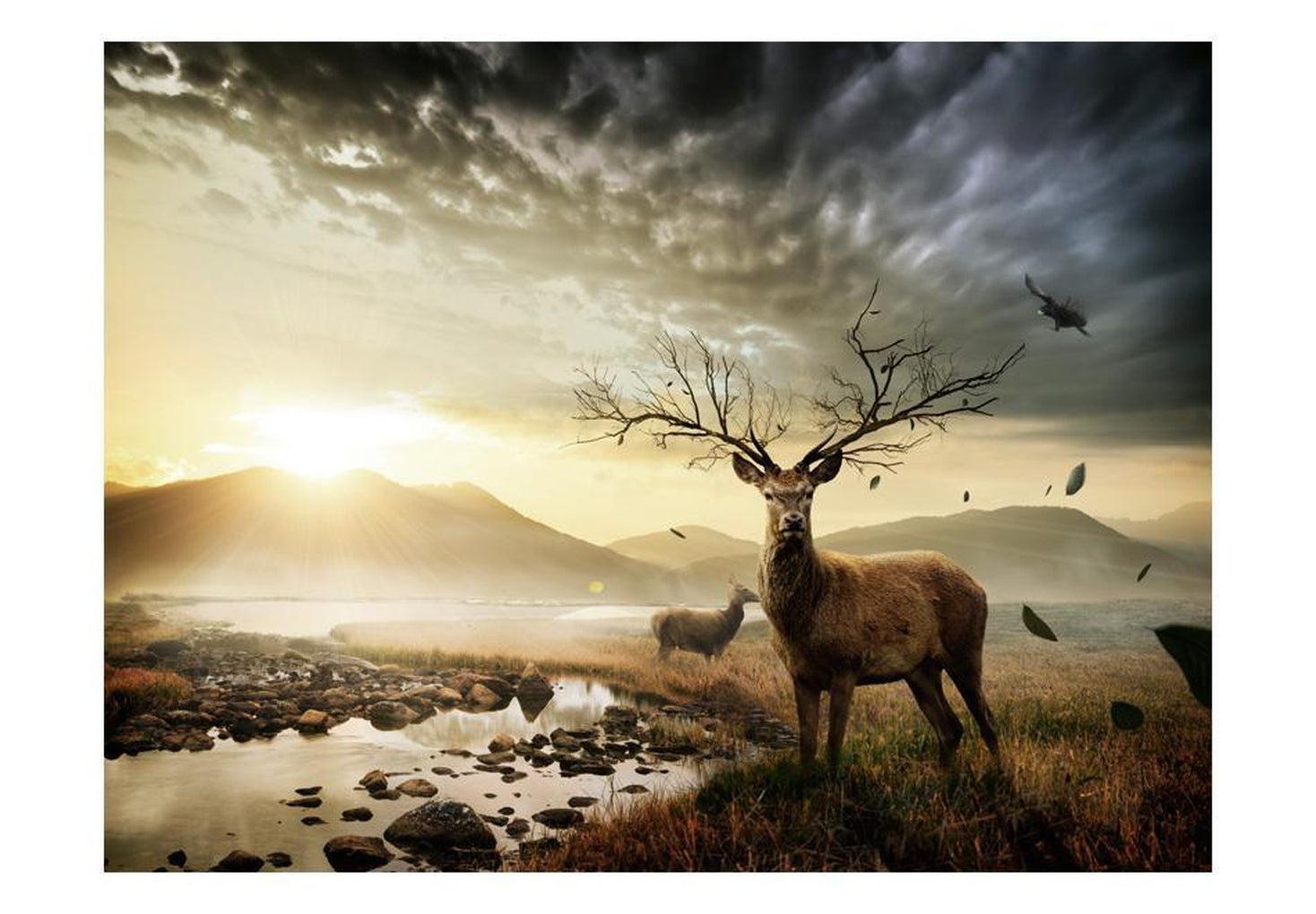 Landscape Wallpaper Wall Mural - Deers By Mountain Stream