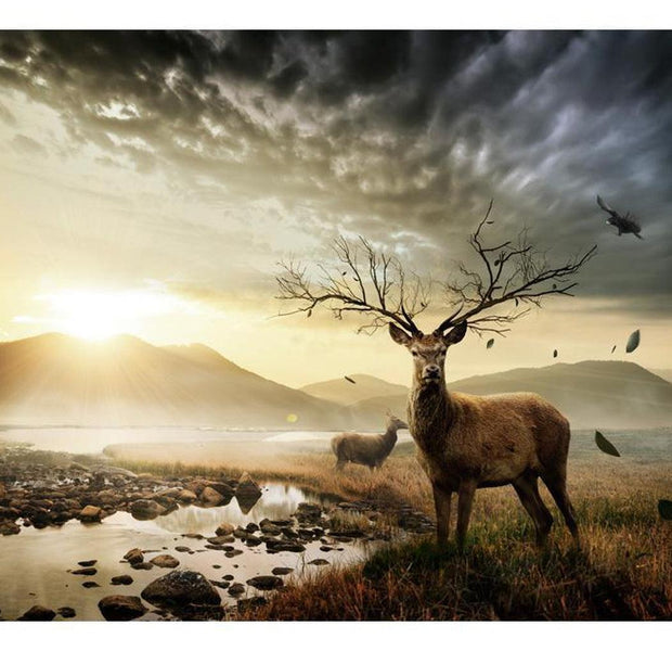 Landscape Wallpaper Wall Mural - Deers By Mountain Stream