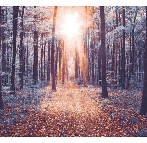 Landscape Wallpaper Wall Mural - Afternoon Forest