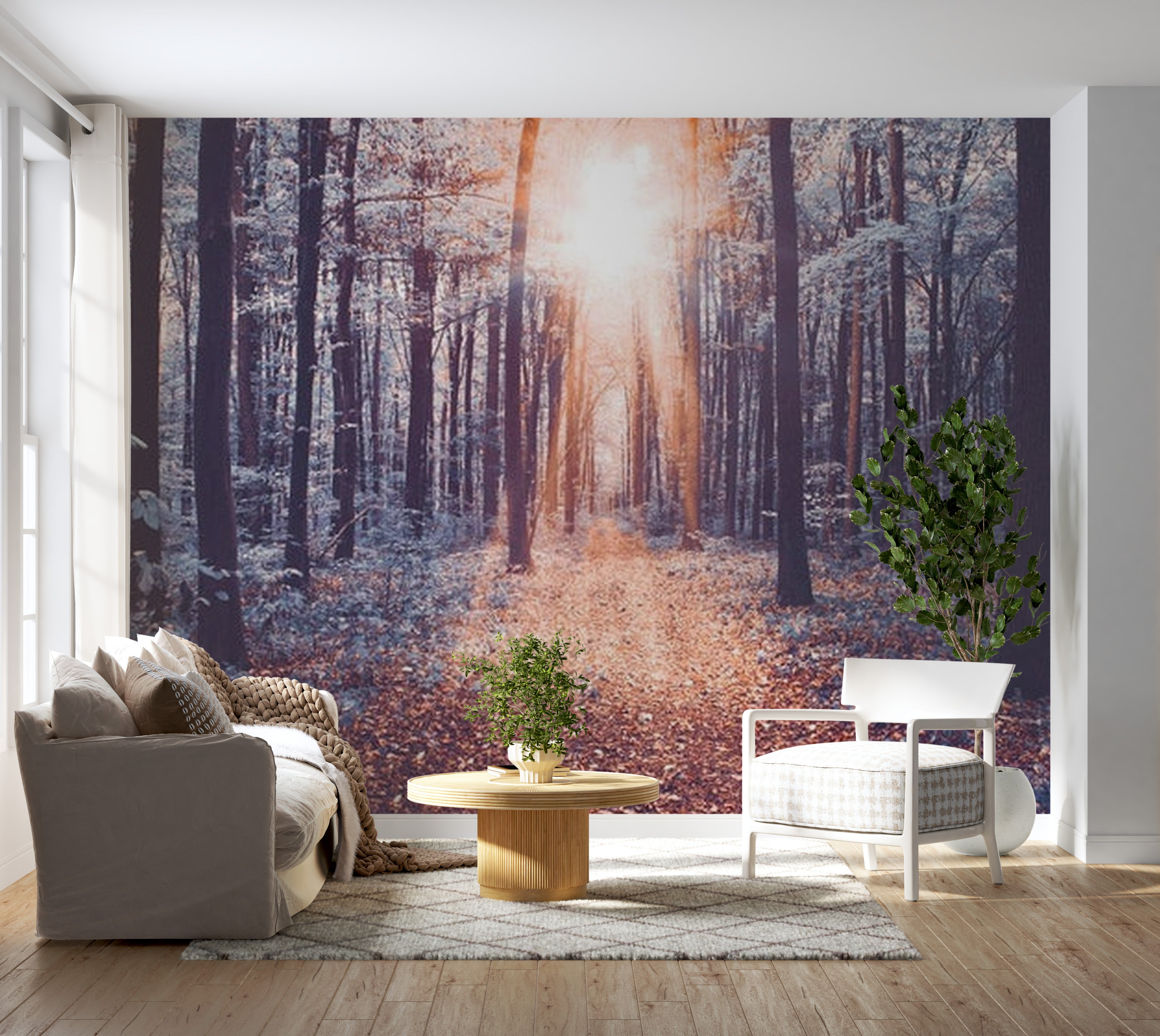 Landscape Wallpaper Wall Mural - Afternoon Forest