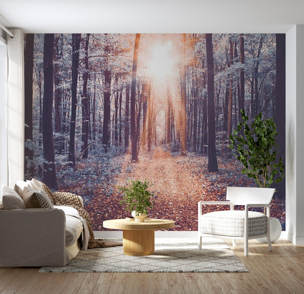 Landscape Wallpaper Wall Mural - Afternoon Forest