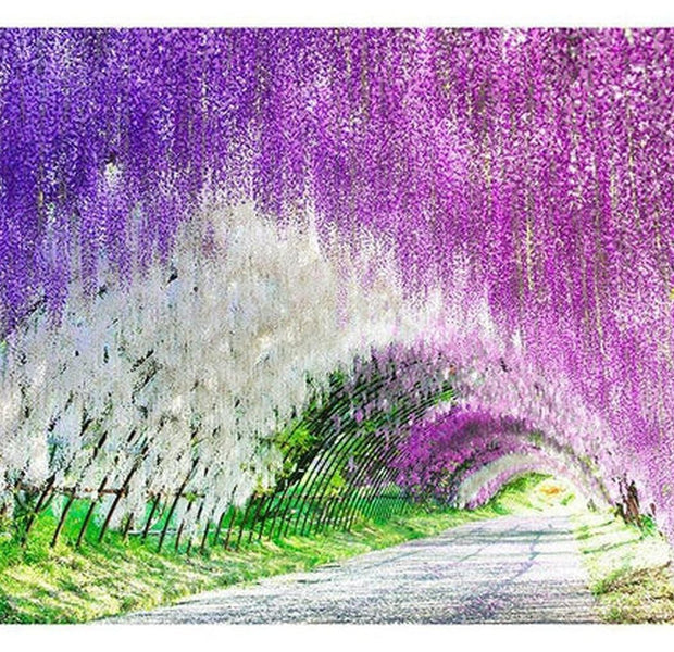 Landscape Wallpaper Wall Mural - Enchanted Garden