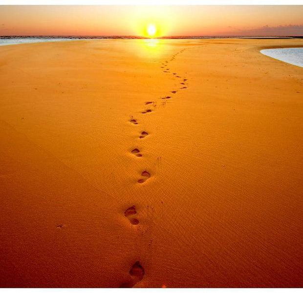 Landscape Wallpaper Wall Mural - Footprints In The Sand