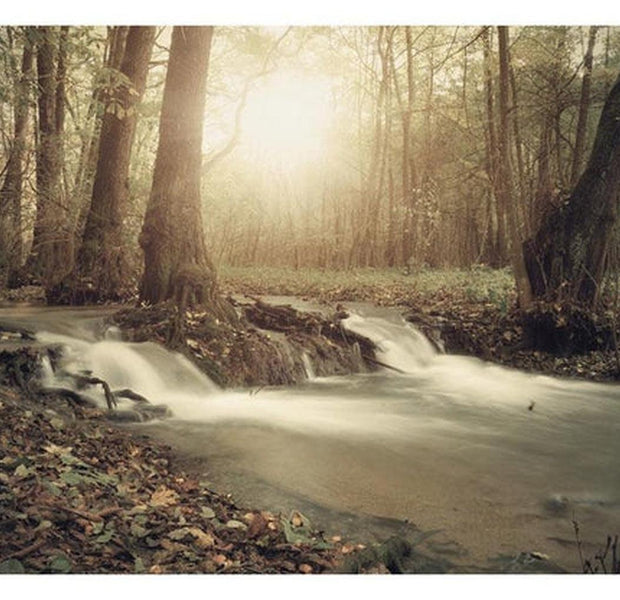Landscape Wallpaper Wall Mural - Forest Brook