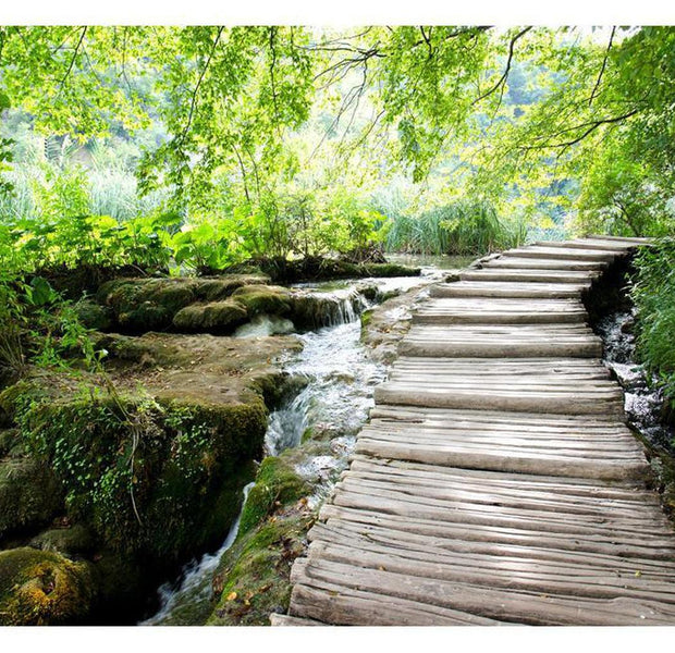 Landscape Wallpaper Wall Mural - Forest Path