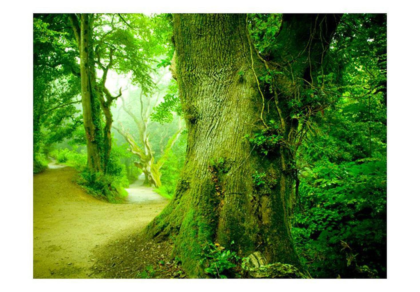 Landscape Wallpaper Wall Mural - Forest Pathway