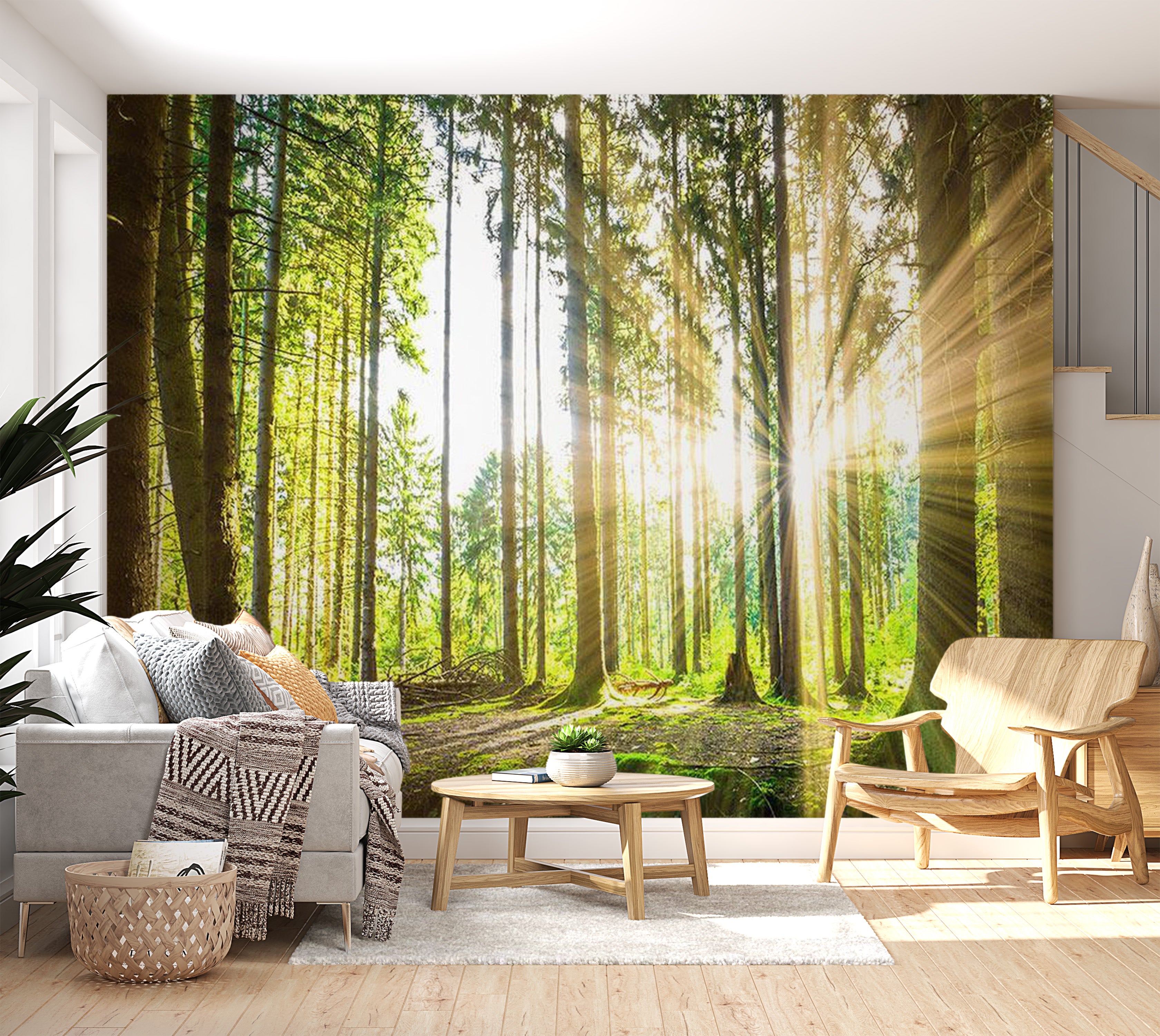 Landscape Wallpaper Wall Mural - Forest Sunshine