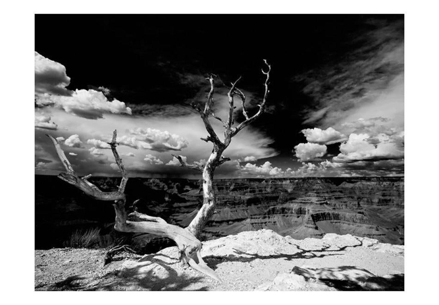 Landscape Wallpaper Wall Mural - Grand Canyon Tree