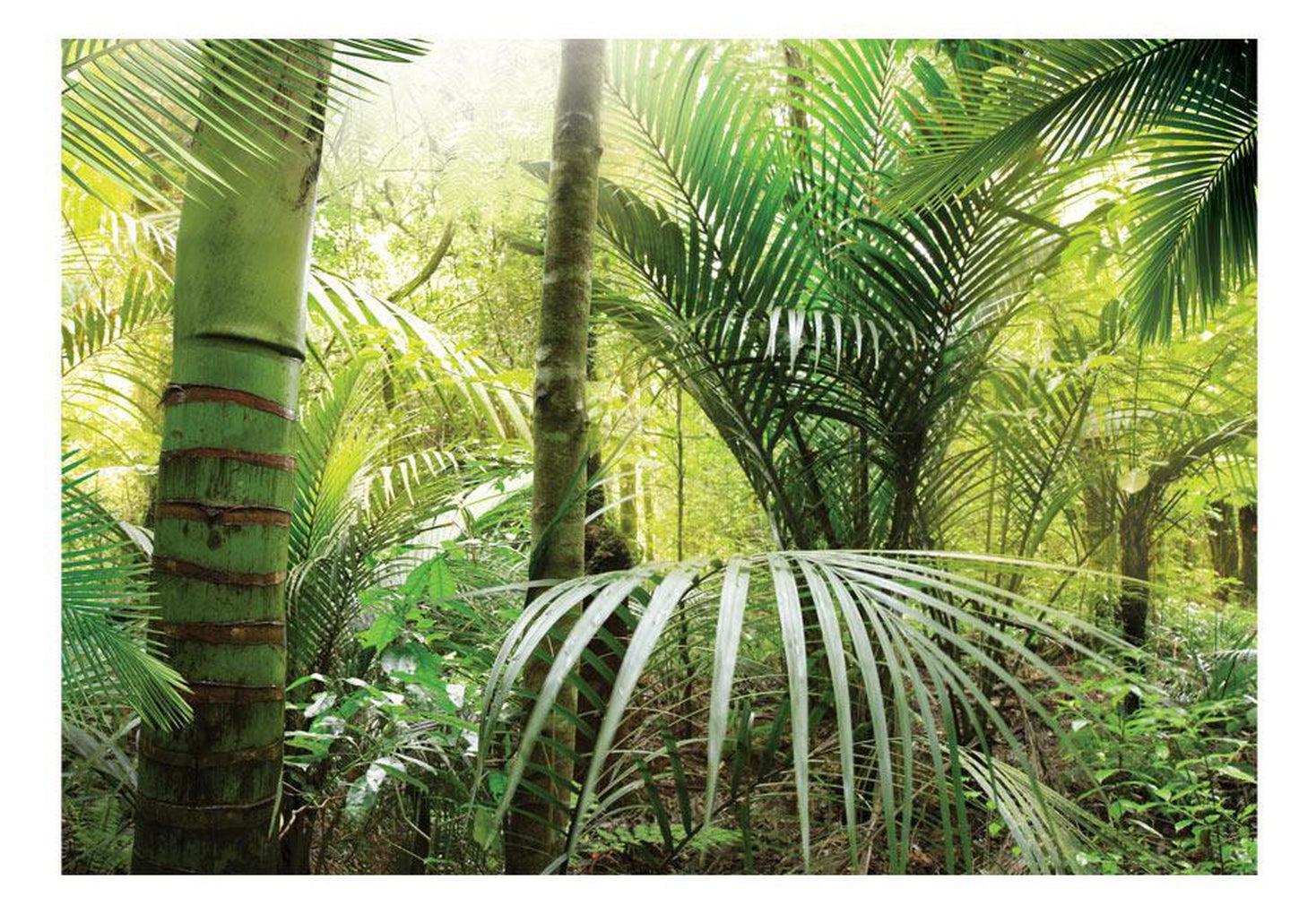 Landscape Wallpaper Wall Mural - Tropical Forest