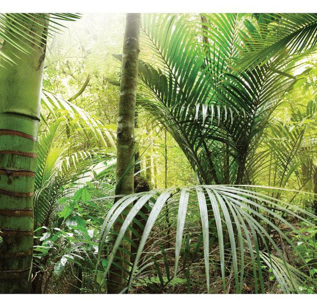 Landscape Wallpaper Wall Mural - Tropical Forest