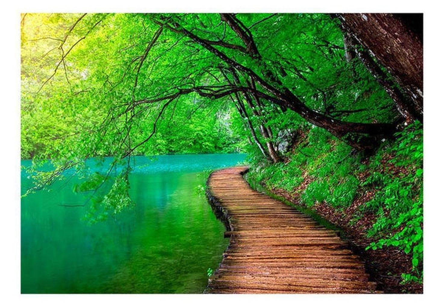 Landscape Wallpaper Wall Mural - Rainforest Path