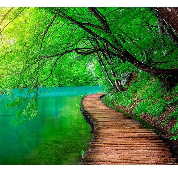 Landscape Wallpaper Wall Mural - Rainforest Path
