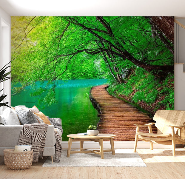 Landscape Wallpaper Wall Mural - Rainforest Path