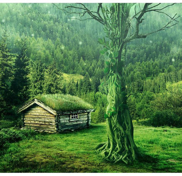 Landscape Wallpaper Wall Mural - Green Seclusion