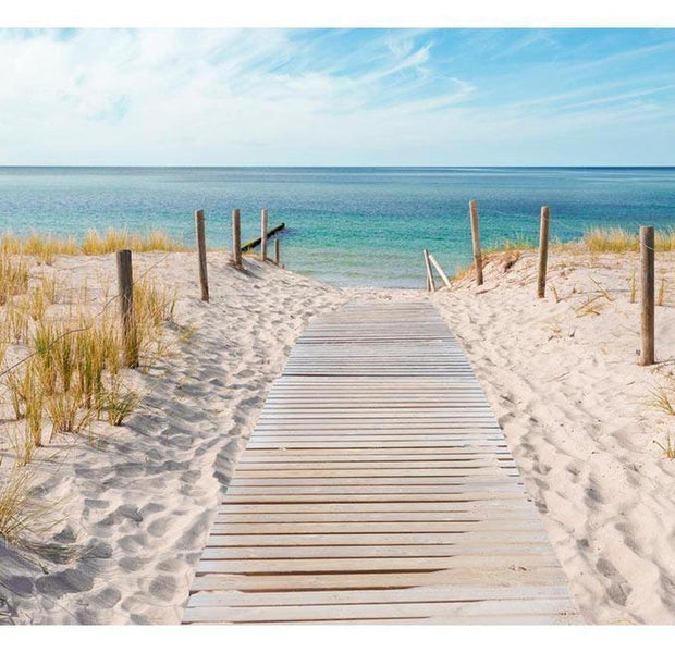 Landscape Wallpaper Wall Mural - Beach Path