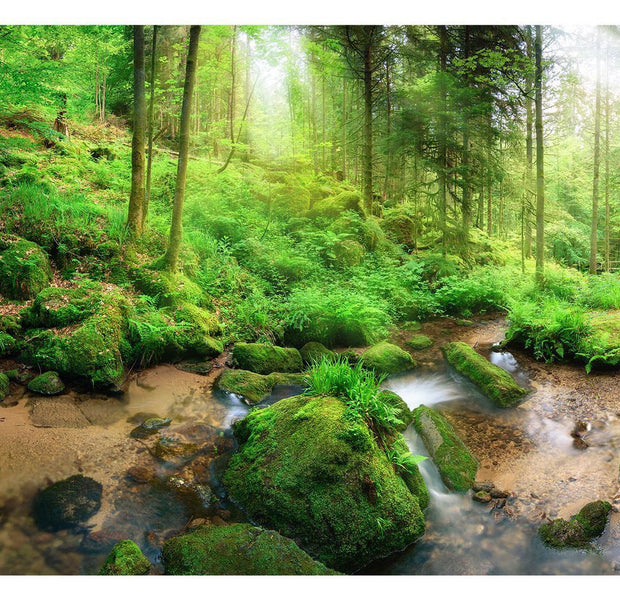 Landscape Wallpaper Wall Mural - Humid Forest