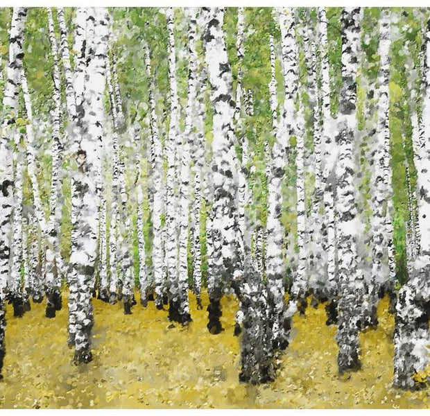 Landscape Wallpaper Wall Mural - In Birch Grove...