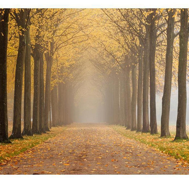 Landscape Wallpaper Wall Mural - Journey To The Unknown