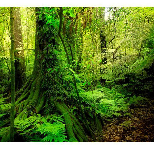 Landscape Wallpaper Wall Mural - Jungle