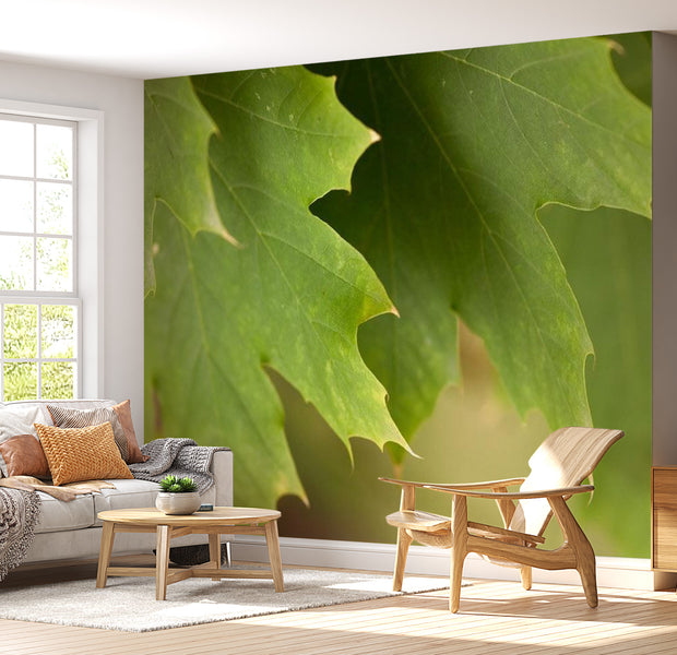 Botanical Wallpaper Wall Mural - Leaves