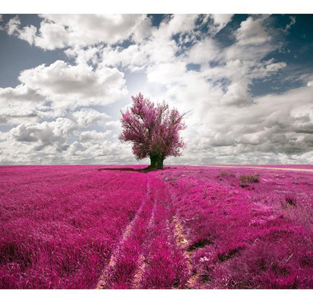 Landscape Wallpaper Wall Mural - Magenta Meadow