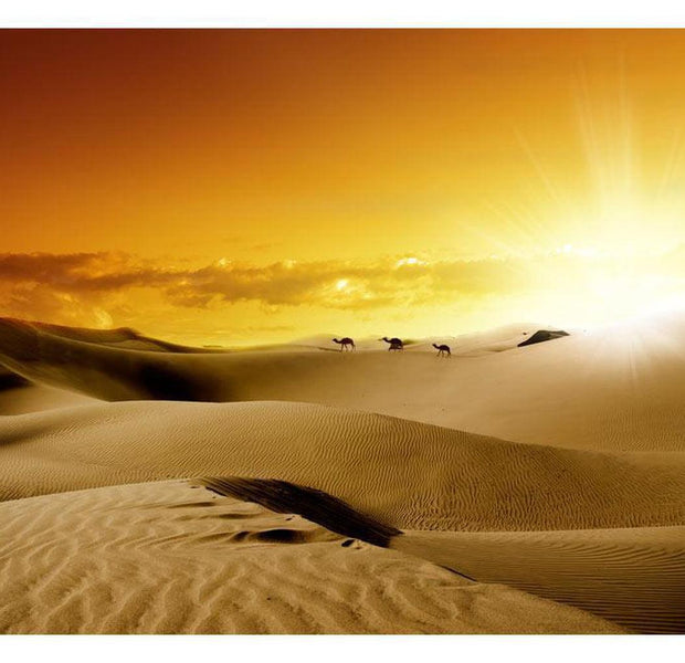 Landscape Wallpaper Wall Mural - March Of Camels